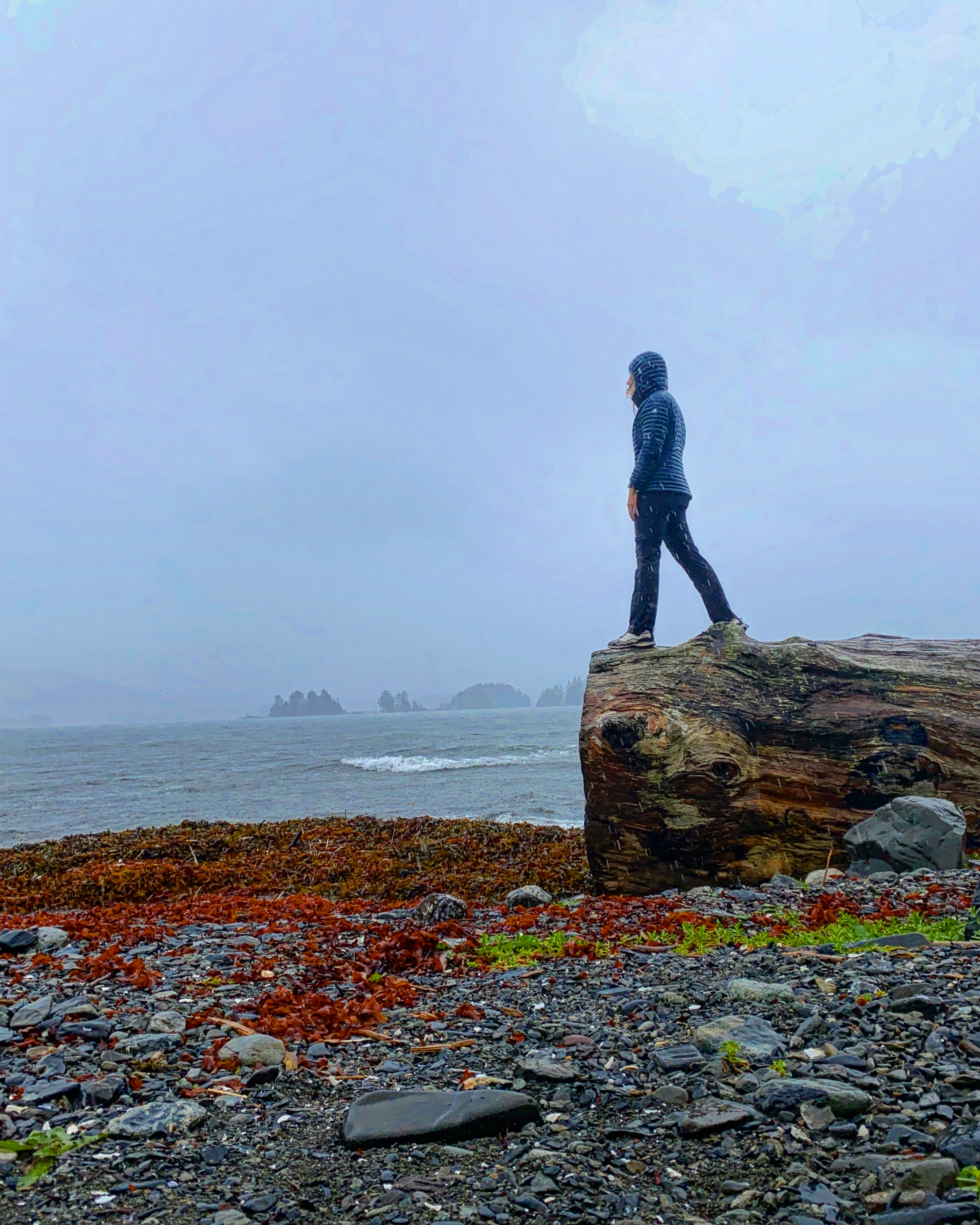 Reserve Life: Getting Paid to Sit&nbsp;Around?