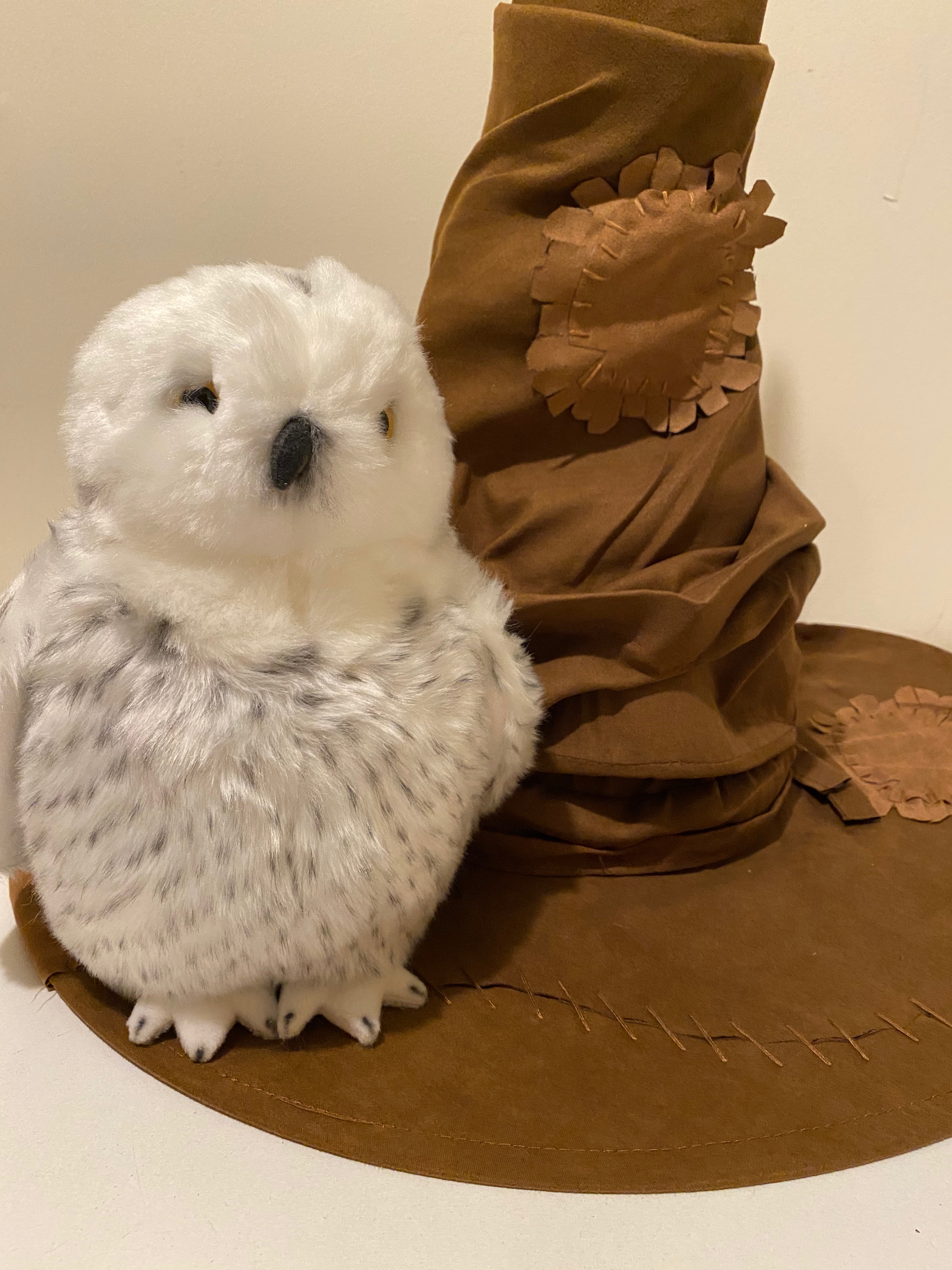 My New Obsession My New Obsession